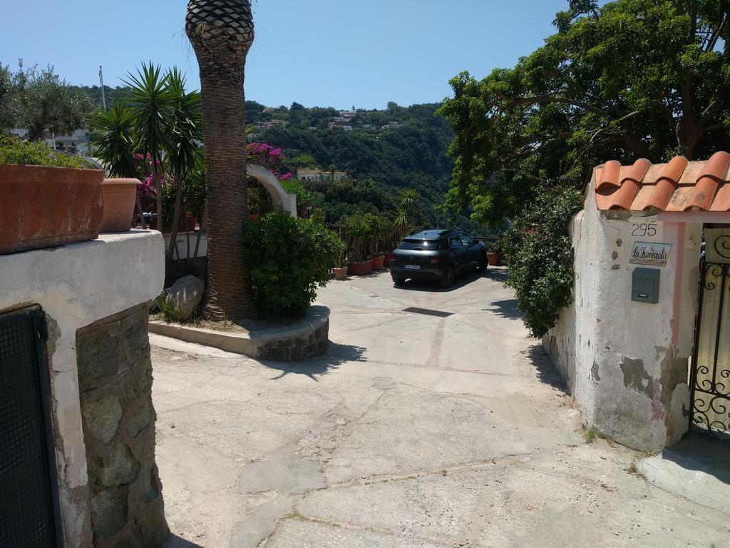 吉亚尔丁诺太阳住宅酒店 Forio di Ischia 外观 照片
