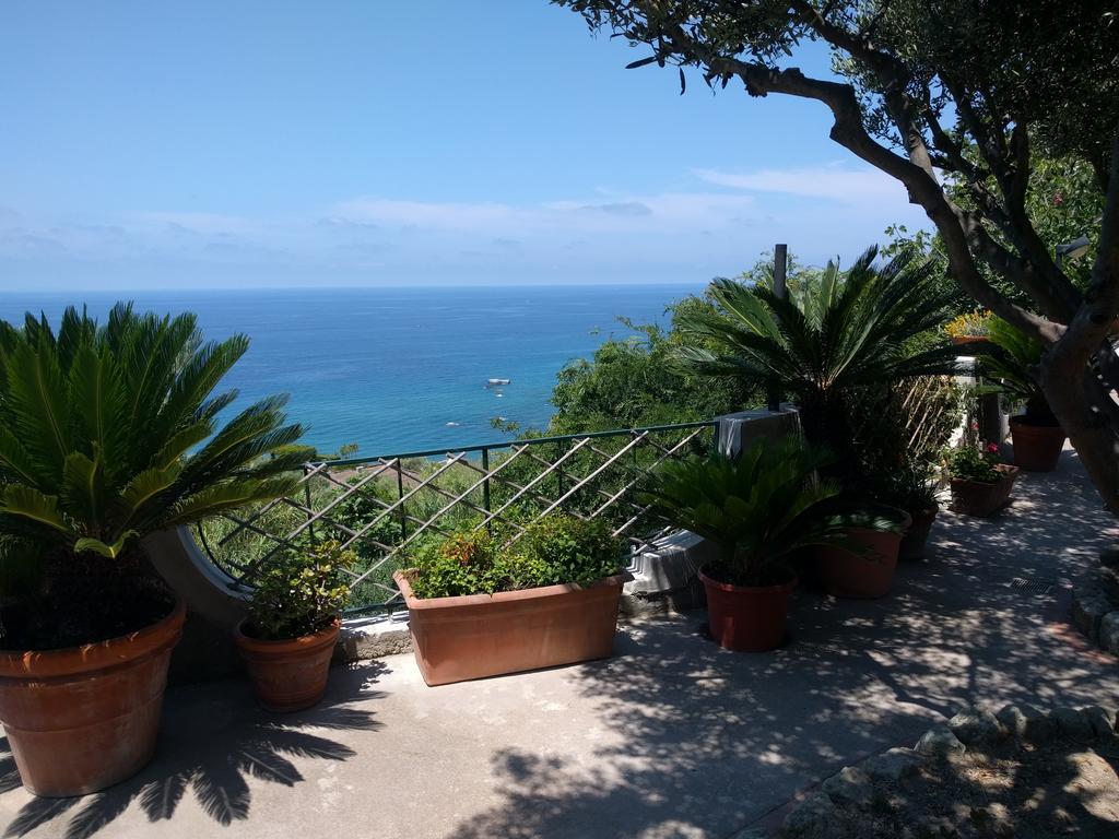 吉亚尔丁诺太阳住宅酒店 Forio di Ischia 外观 照片