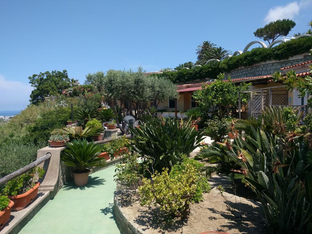 吉亚尔丁诺太阳住宅酒店 Forio di Ischia 外观 照片