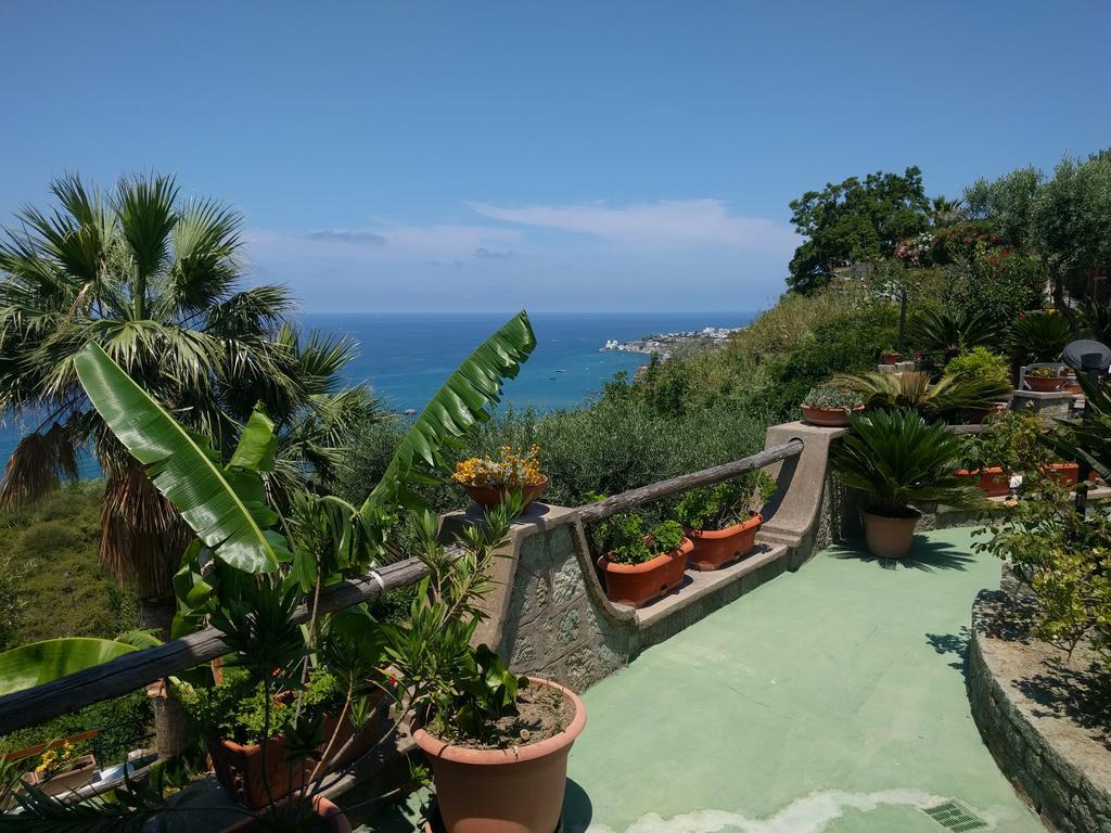 吉亚尔丁诺太阳住宅酒店 Forio di Ischia 外观 照片