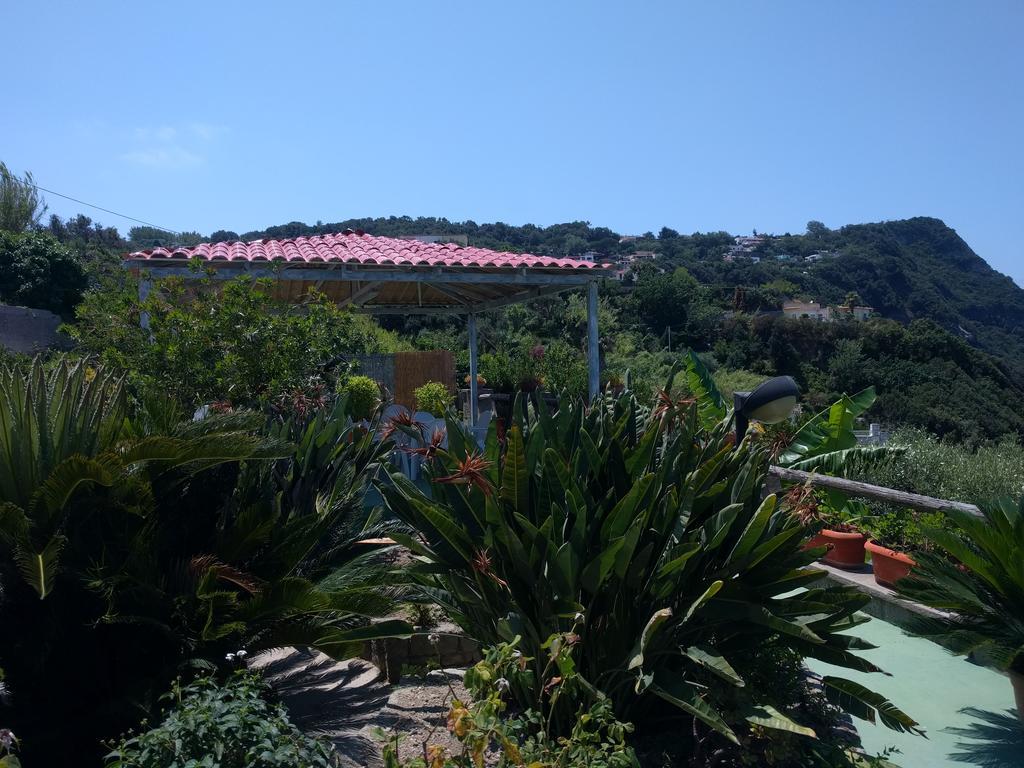 吉亚尔丁诺太阳住宅酒店 Forio di Ischia 外观 照片