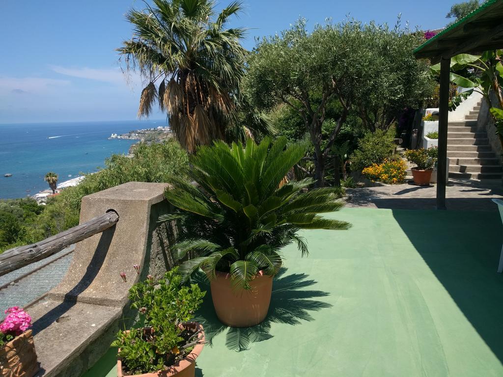 吉亚尔丁诺太阳住宅酒店 Forio di Ischia 外观 照片