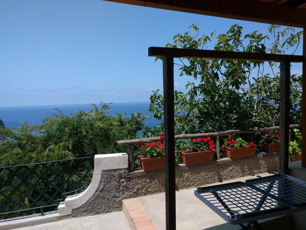 吉亚尔丁诺太阳住宅酒店 Forio di Ischia 外观 照片