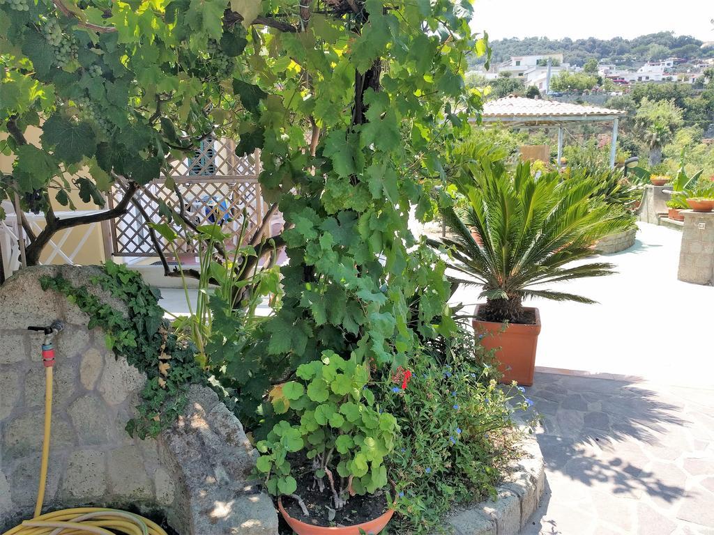 吉亚尔丁诺太阳住宅酒店 Forio di Ischia 外观 照片